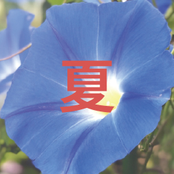 夏・暑中見舞い