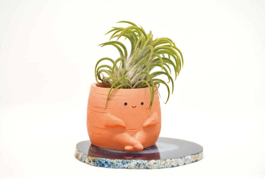 ファンキーにんじん