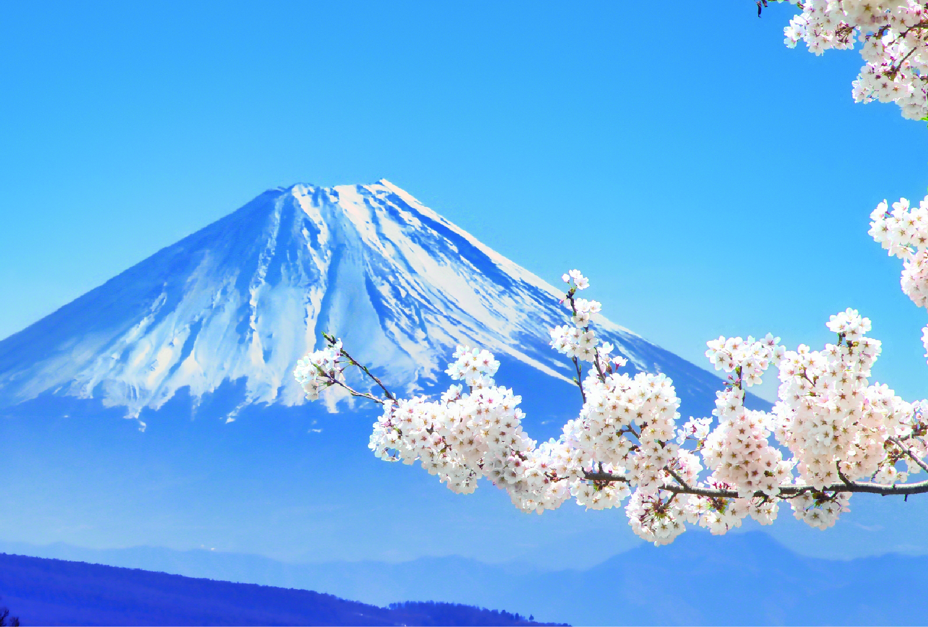 富士と桜