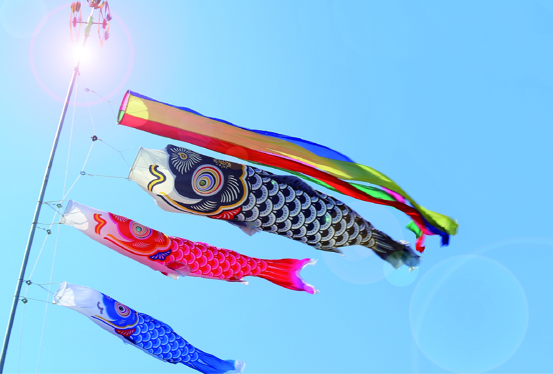 青空泳ぐ鯉のぼり